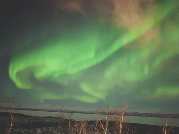 ◎ 澳門朋友陳群好在瑞典北部的阿比斯高國家公園用手機拍的北極光。