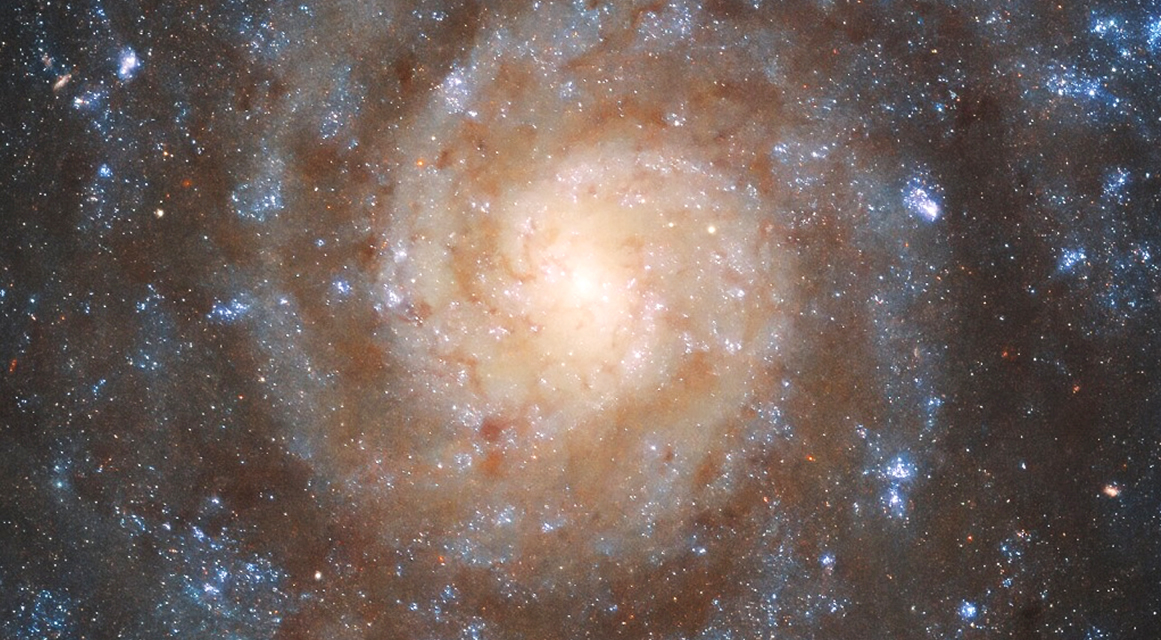 ◎ 韋伯與哈伯。