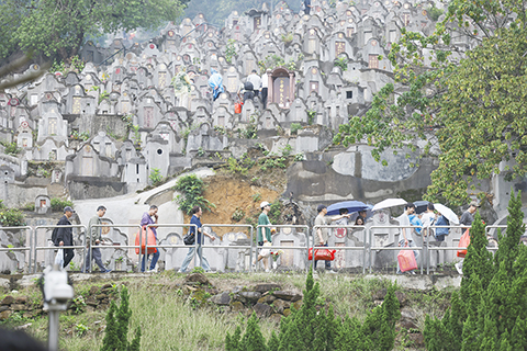 ◎ 四月五日,清明節。香港鑽石山墳場,眾多市民帶同香燭祭品到場拜祭先人。(香港中通社記者陳奕啟 攝)