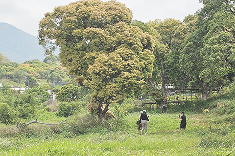 ◎ 三月廿九日,多位寵物主人在元朗八鄉的一處有機再生農場裡進行撒灰活動。(受訪者供圖)